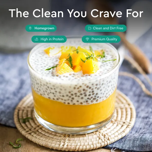 Nourish You Buy Organic Black Chia Seeds - Edible Seeds | Nourish You 1 kg Pack - image 2