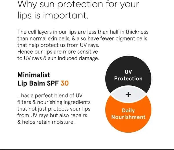 Minimalist Vanity Wagon Minimalist Lip Balm SPF 30 - image 4