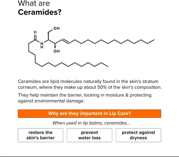 Minimalist Vanity Wagon Minimalist Lip Balm SPF 30 - image 9