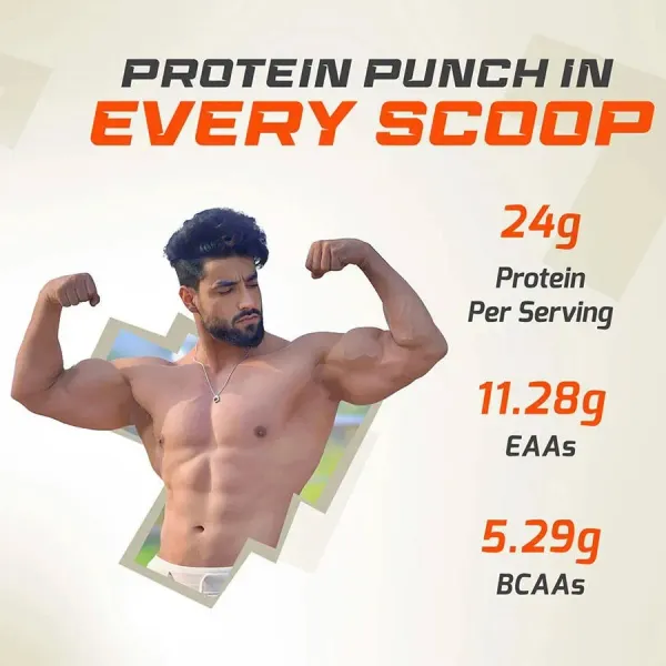 MuscleBlaze Fuel One Whey Protein Powder - image 5