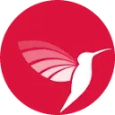 Bella Vita Night Fever perfume - a fragrance for women 2023